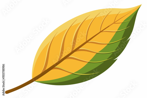 Versatile leaf vector designs perfect for logos and branding.
