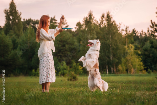 a beautiful red-haired girl in light clothes and sneakers plays a Frisbee disc with her Australian Shepherd dog in the park in the summer. they are friends and have a good time photo