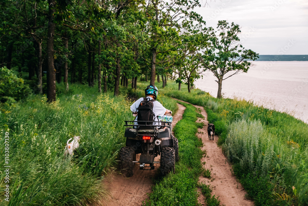 Obraz premium a girl and a guy bikers ride quad bikes in a beautiful green forest on a river cliff, their dogs are running nearby