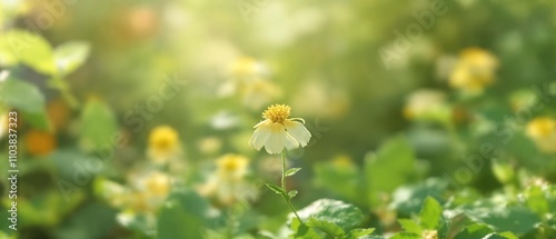 Fototapeta Naklejka Na Ścianę i Meble -  A stunning watercolor scene featuring a single yellow flower in a green garden, flower, calming, nature
