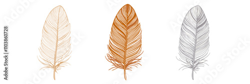 Feathers in three colors: gold, copper, silver. Elegant designs showcasing intricate details and textures. Perfect for artistic inspiration., vector illustration, isolated, flat