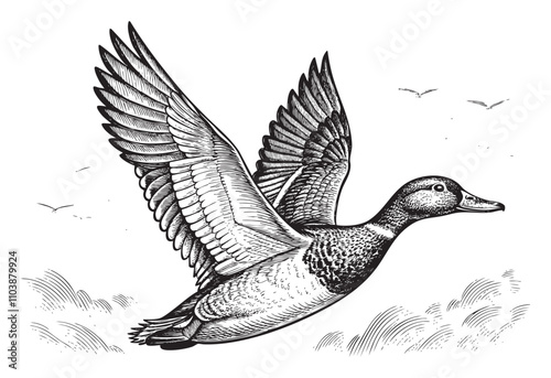 flying duck Canada Goose flying sketch hand dawn drawing vector illustration