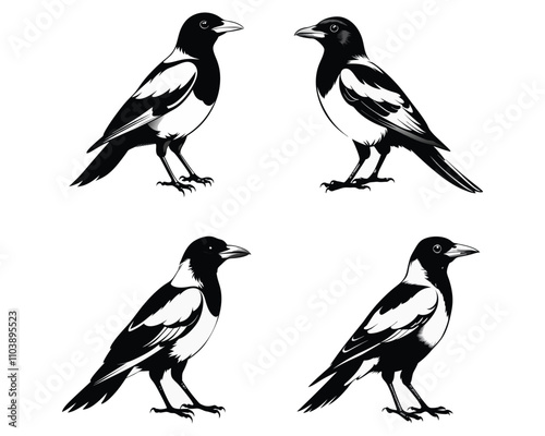 Wallpaper Mural magpie high quality silhouette Torontodigital.ca