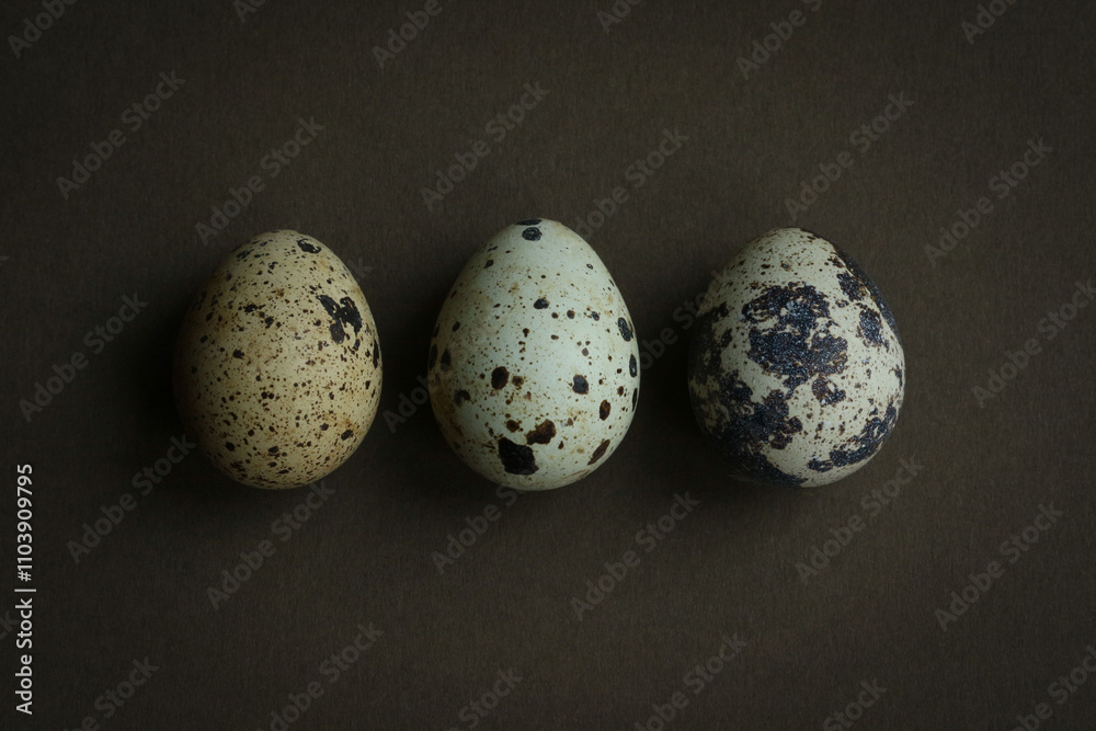 Three Quails Eggs isolated on a dark brown textured background. Three Quails Eggs isolated on a dark brown textured background.