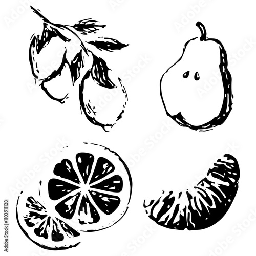 big set of various fruits drawn in sketch style namely lemon, orange, tangerine and pear drawn with black lines