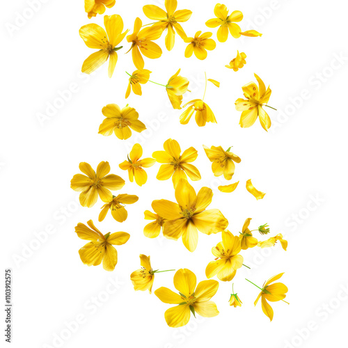 Yellow flowers flying isolated on white or transparent background