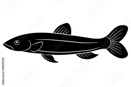 Polypterus Ornatipinnis Bichir Fish Silhouette Vector.