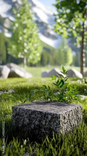 Colorful flowers of various species bloom around a simple black gravestone, creating a peaceful and tranquil atmosphere in a garden during daytime