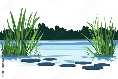 Swamp pond landscape with reed and cattail. Overgrown pond shore. Vector