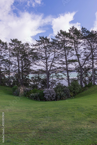 Framing Nature's Splendor: A Serene Lakeside Panorama