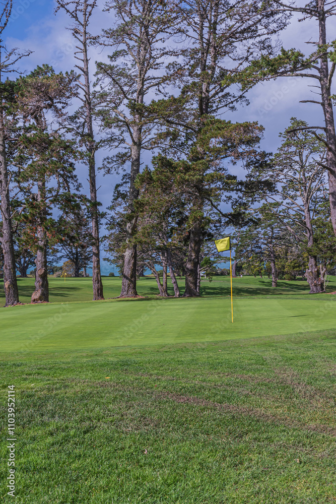 Obraz premium Nature's Playground: Golfing Amidst the Serene Surroundings