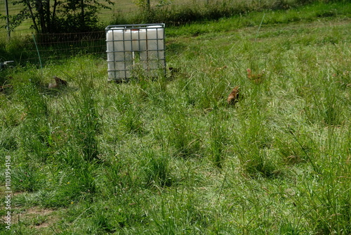 FU 2022-06-19 Overath 236 Auf der Wiese steht ein großer Kanister im Käfig photo