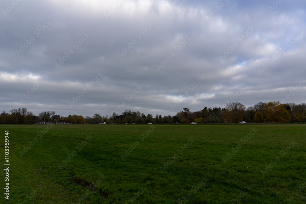 The Longmede water meadow at Runnymede in Surrey, UK The Longmede water meadow at Runnymede in Surrey, UK