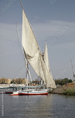 Feluccas moored at the bank of the Nile, Aswan Egypt
 photo