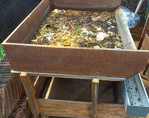 magot cultivation resulting from processing organic waste