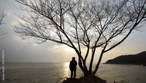 겨울철 나뭇잎이 없는 가지 아래 혼자 서 있는 사람의 실루엣