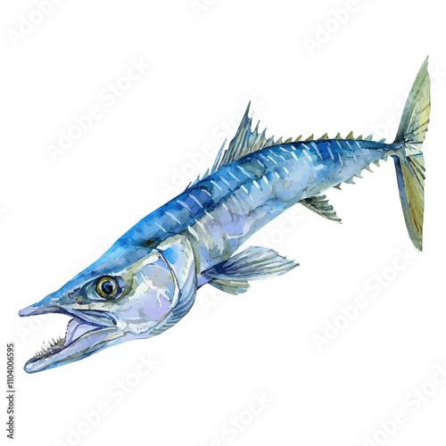 A watercolor painting of Barracuda, isolated on a white background. Barracuda vector.