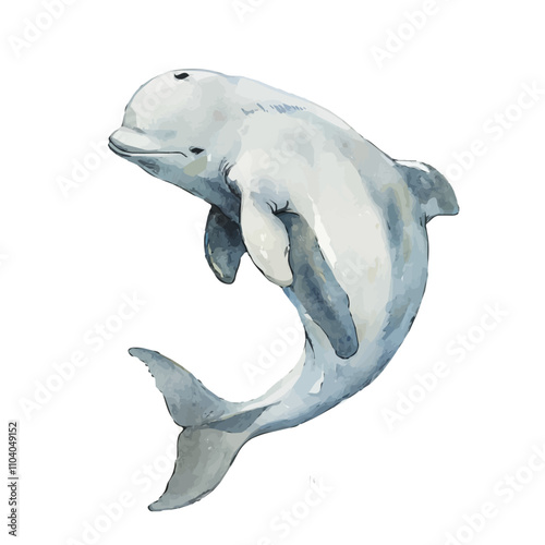 A watercolor painting of Beluga Whale, isolated on a white background. Beluga Whale vector.