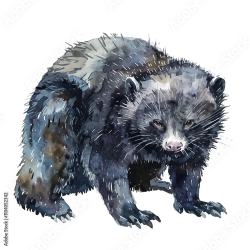 A watercolor vector of Binturong, isolated on a white background. Binturong vector.