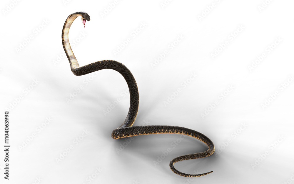 Obraz premium 3d Illustration of The Majestic Cobra: Elegance and Danger isolate background