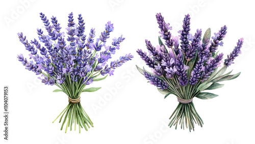 bunch of lavender