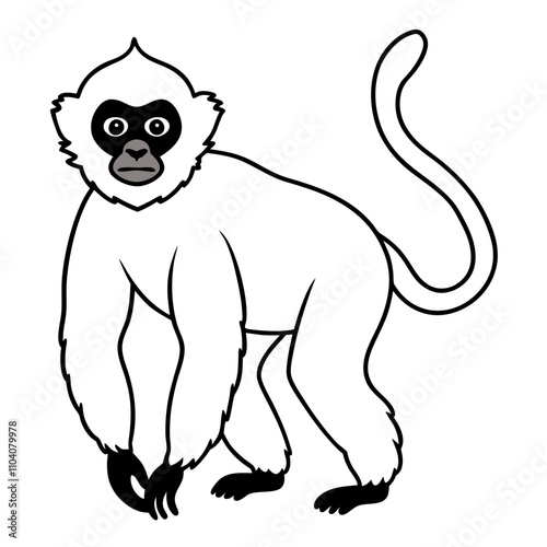gibbon on white