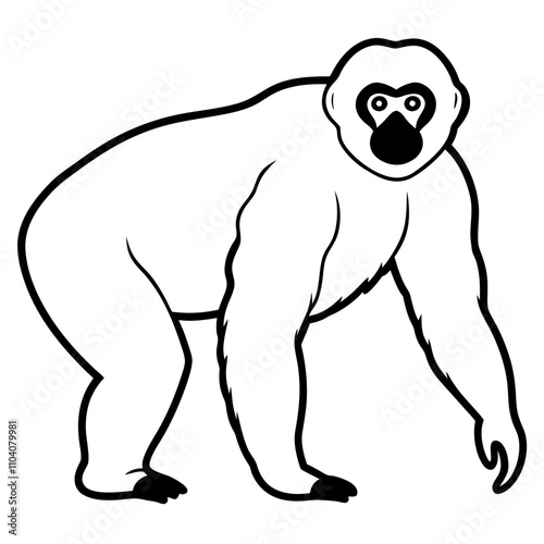 gibbon on white