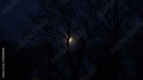 A mesmerizing nighttime scene featuring a full moon shining brightly through the bare branches of trees, casting an ethereal glow on the dark forest landscape. The scenery evokes a magic night sense.