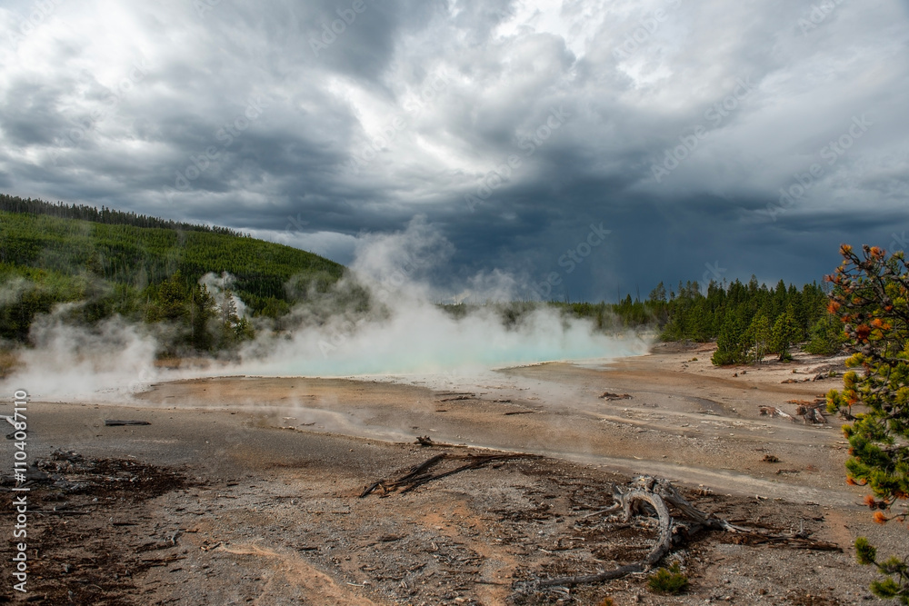 Yellowstone National Park, Wyoming, USA