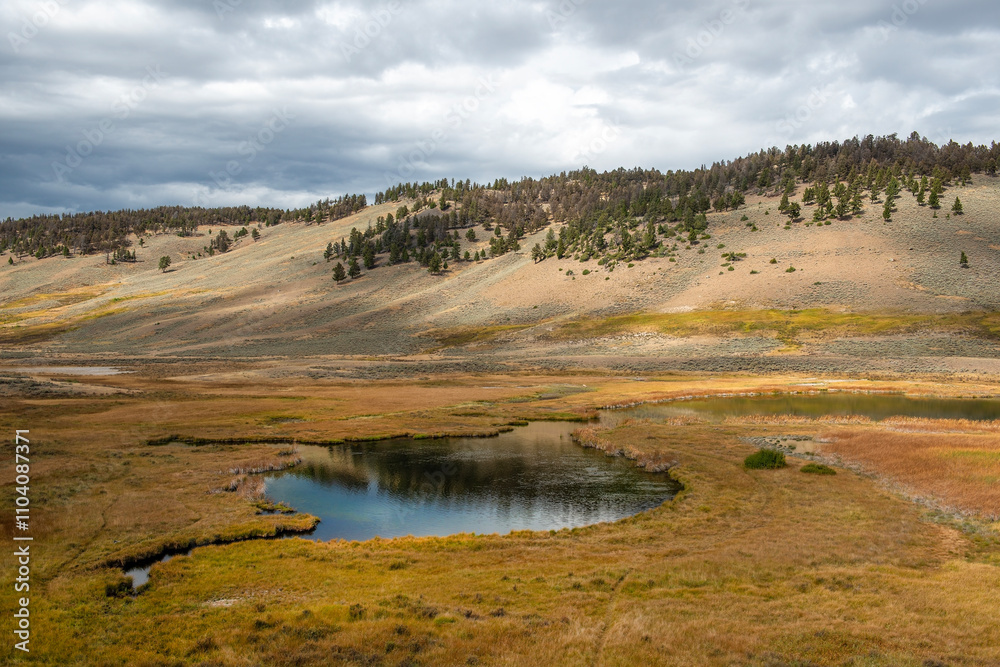 Yellowstone National Park, Wyoming, USA