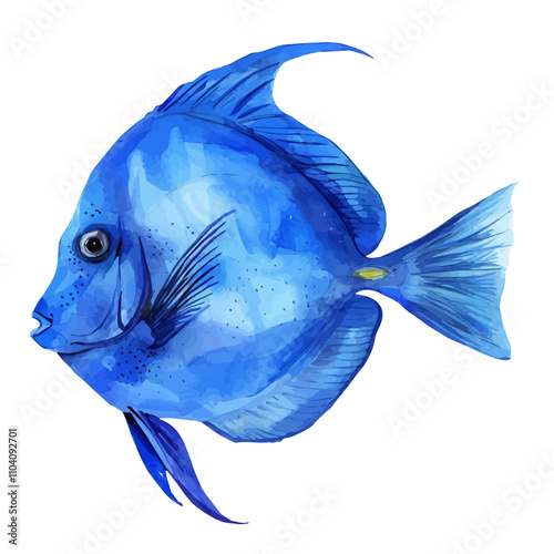 A watercolor clipart of Blue Tang Fish, isolated on a white background. Blue Tang Fish vector.