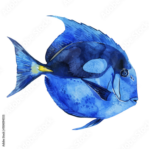 A watercolor clipart of Blue Tang Fish, isolated on a white background. Blue Tang Fish vector.