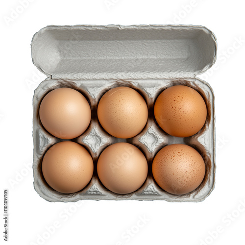 Fresh brown eggs in carton with transparent background photo