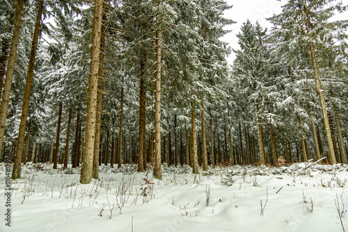 Eine winterliche Wanderung zum Bahnhof Rennsteig im verschneiten Thüringer Wald - Schmiedefeld - Thüringen - Deutschland photo