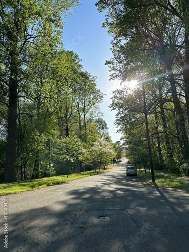 alley in the park