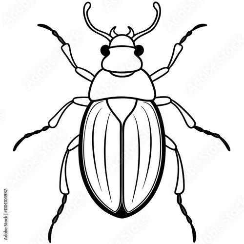 illustration of a beetle