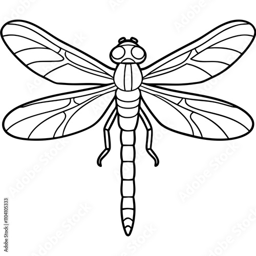 dragonfly illustration