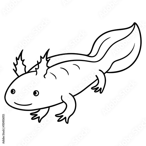 illustration of a axolotl