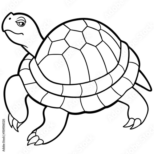 turtle cartoon