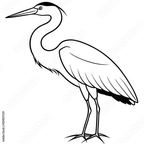 heron on white photo