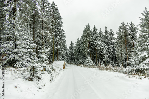 Eine winterliche Wanderung zum Bahnhof Rennsteig im verschneiten Thüringer Wald - Schmiedefeld - Thüringen - Deutschland photo