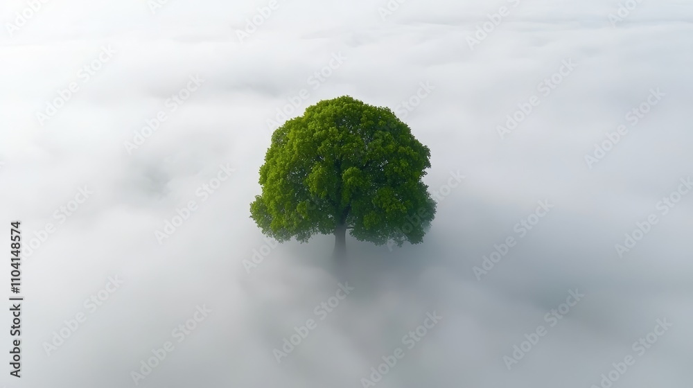 a lone tree standing in the middle of a foggy field, its branches reaching up towards the sky The tree is surrounded by a thick layer of white, fluffy clouds, crea a lone tree standing in the middle of a foggy field, its branches reaching up towards the sky The tree is surrounded by a thick layer of white, fluffy clouds, crea