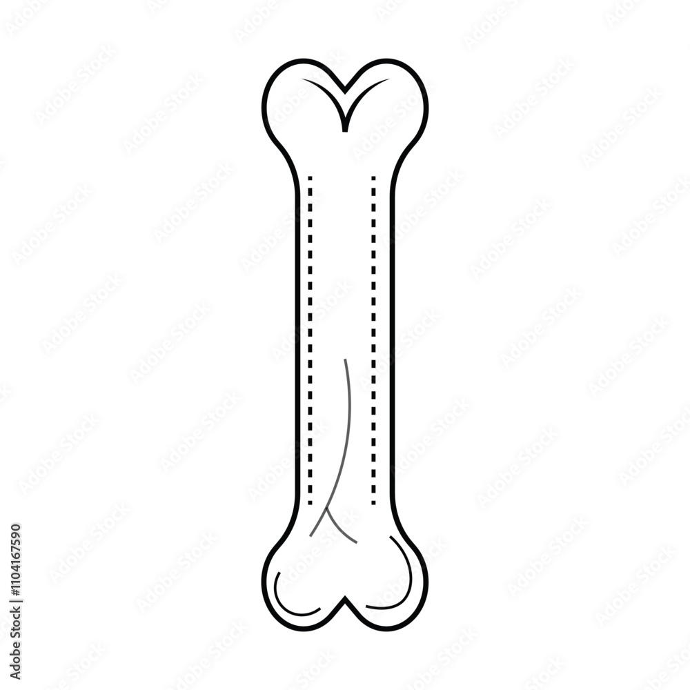 Obraz premium Human anatomical bone art illustration .