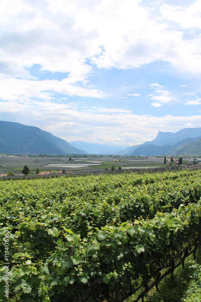 Etschtal Valley Cycling Route south of Meran and vinyards - Cycling the transalpine route Via Claudia Augusta Etschtal Valley Cycling Route south of Meran and vinyards - Cycling the transalpine route Via Claudia Augusta