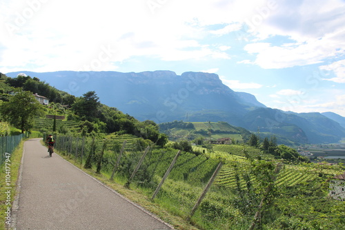 Bicycle Route between Bozen and Kaltern in summer, Etschtal - Cycling the transalpine route Via Claudia Augusta