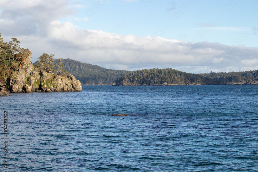 Rugged rocky coast covered in trees Rugged rocky coast covered in trees