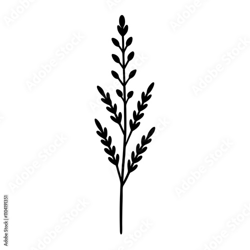 heather flower on white