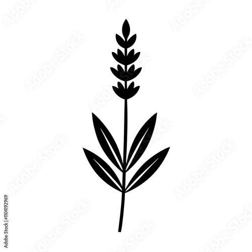 silhouette of a lavender flower 