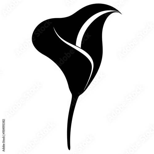 illustration of a calla  lily flower