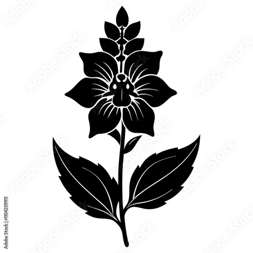 black and white flower
